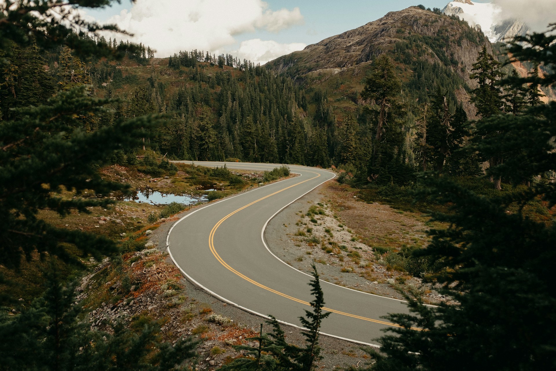 Metamora Works interactive experiences in Washington State