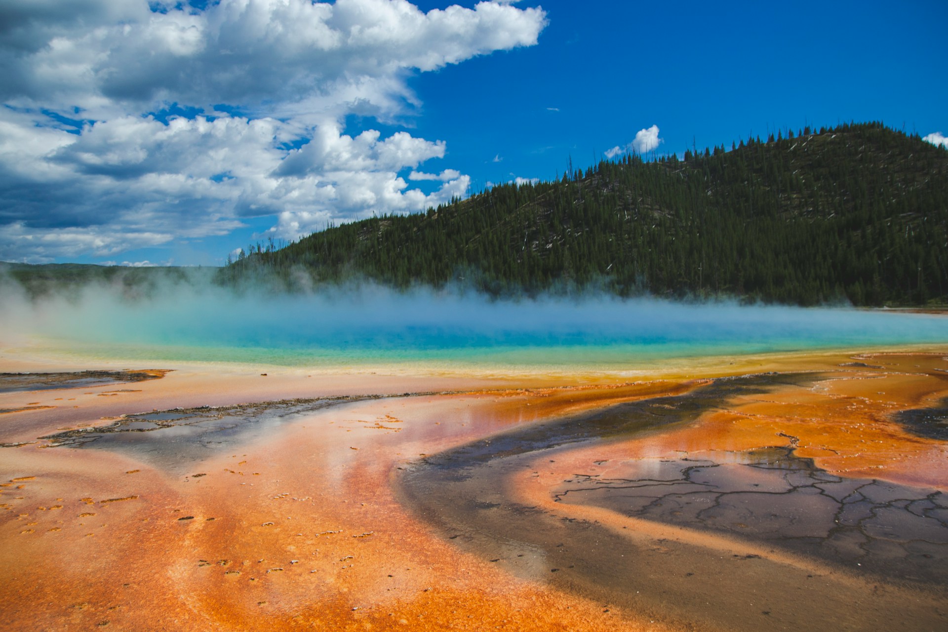 Metamora Works interactive experiences in Yellowstone